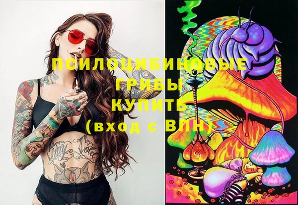 MDMA Premium VHQ Аркадак