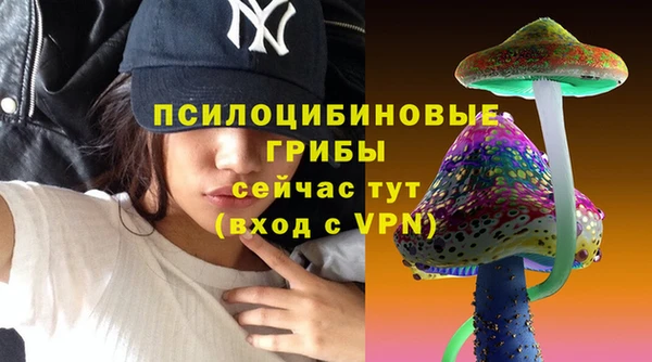синтетический гашиш Арсеньев
